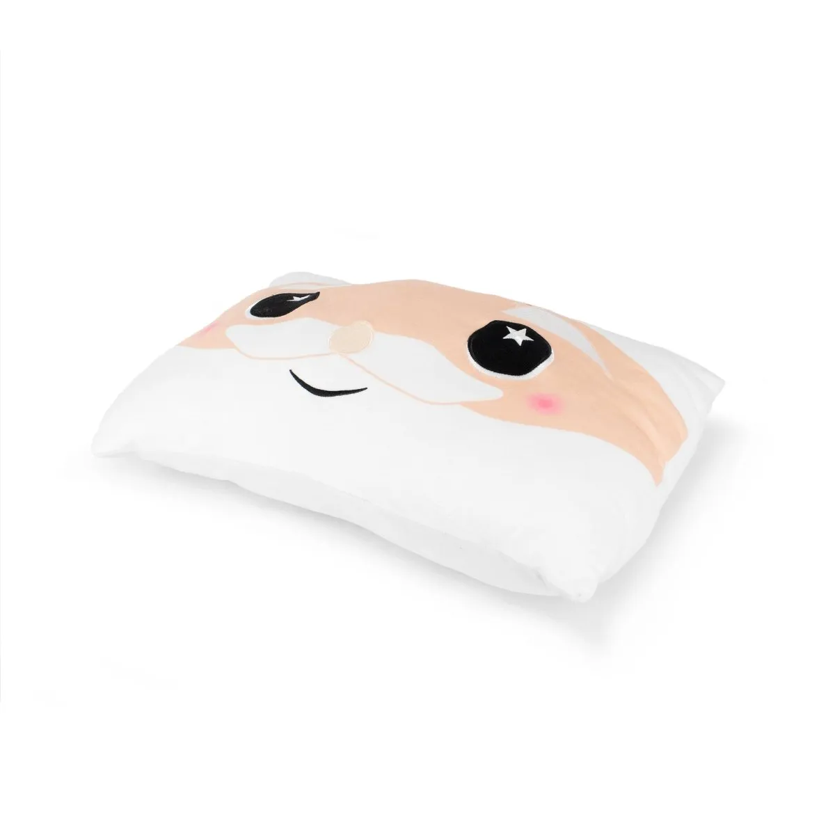 Santa Pillow