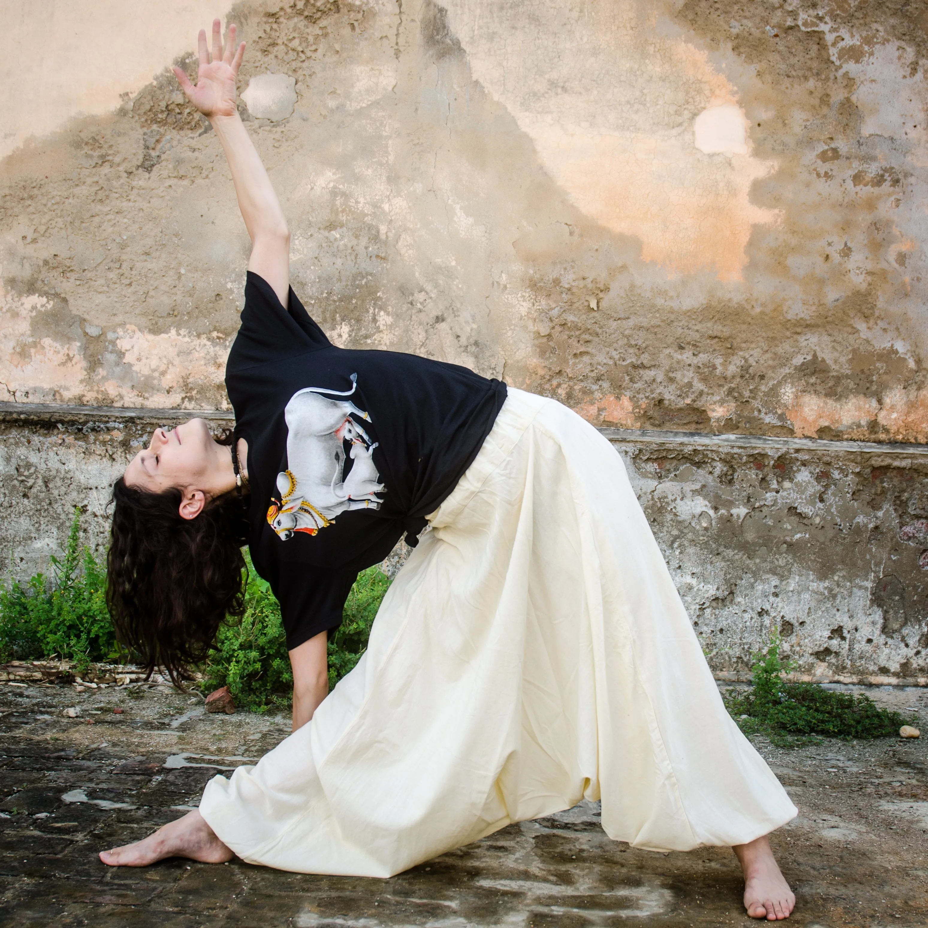 Yoga Aladdin Pants
